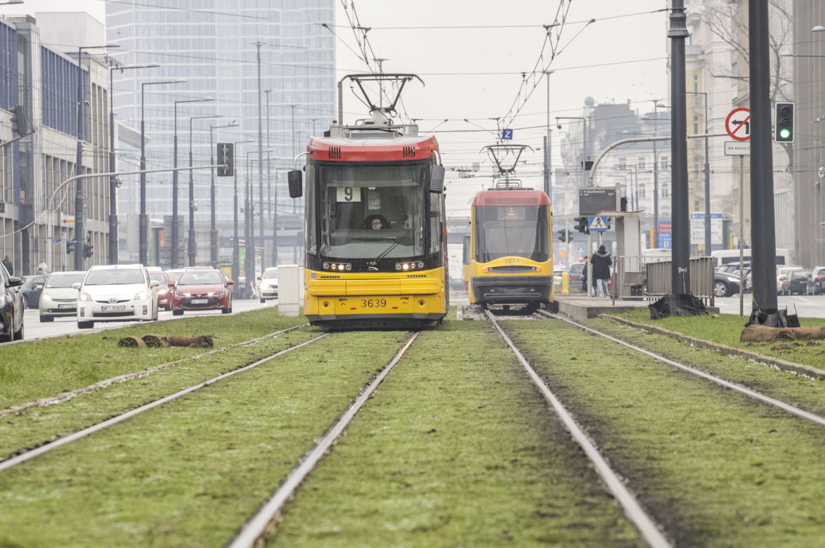 Tramwajarze zazielenili torowiska w centrum 