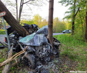 BMW owinęło się wokół drzewa. Koszmarny wypadek w Zielonej Górze