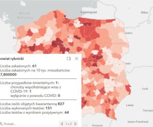 Koronawirus w województwie śląskim. Tak wygląda sytuacja w poszczególnych powiatach [RAPORT, 19 MARCA]