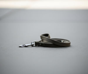 Agresywny pies zaatakował w Częstochowie. Co czeka pijanego właściciela?