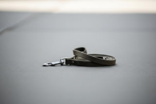 Agresywny pies zaatakował w Częstochowie. Co czeka pijanego właściciela?