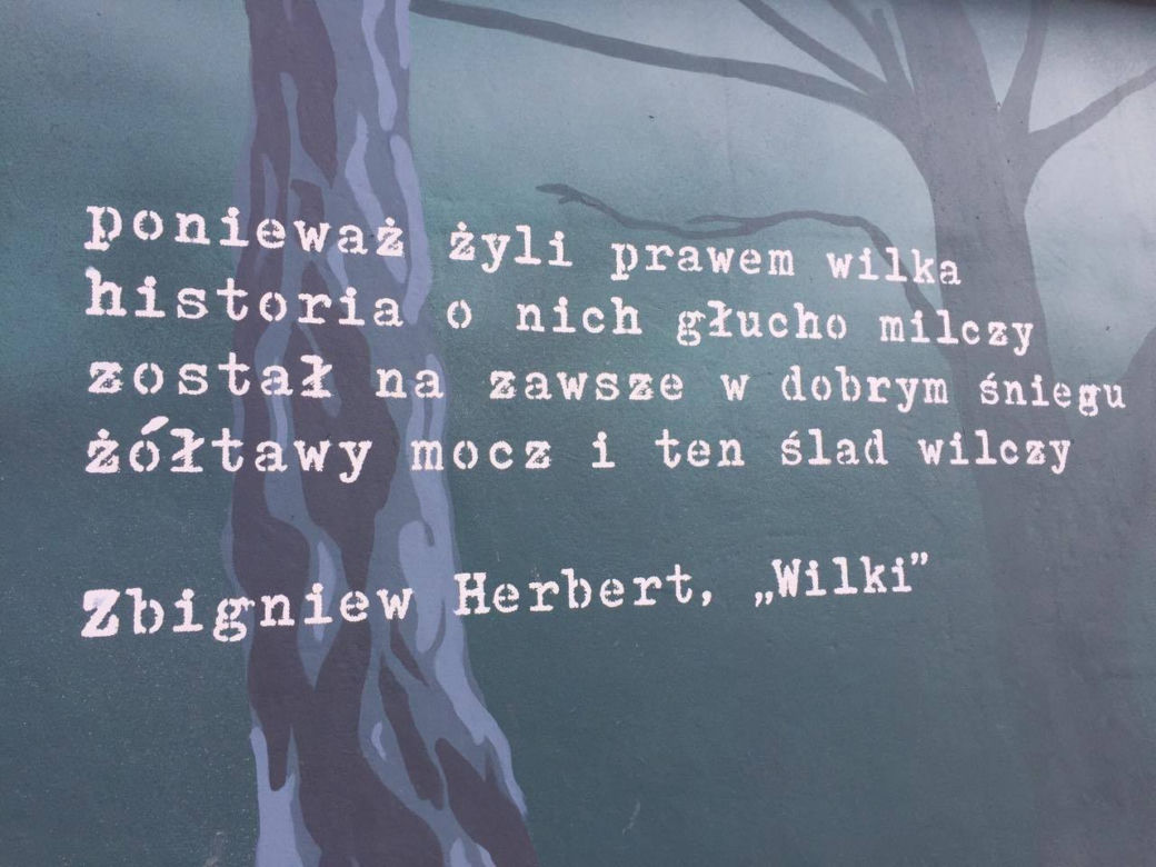 Zniszczono mural Żołnierzy Wyklętych! Napis "MORDERCA" na portrecie majora Łupaszki [ZDJĘCIA]