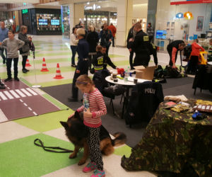Zbiórka dla Kingi Szwedy