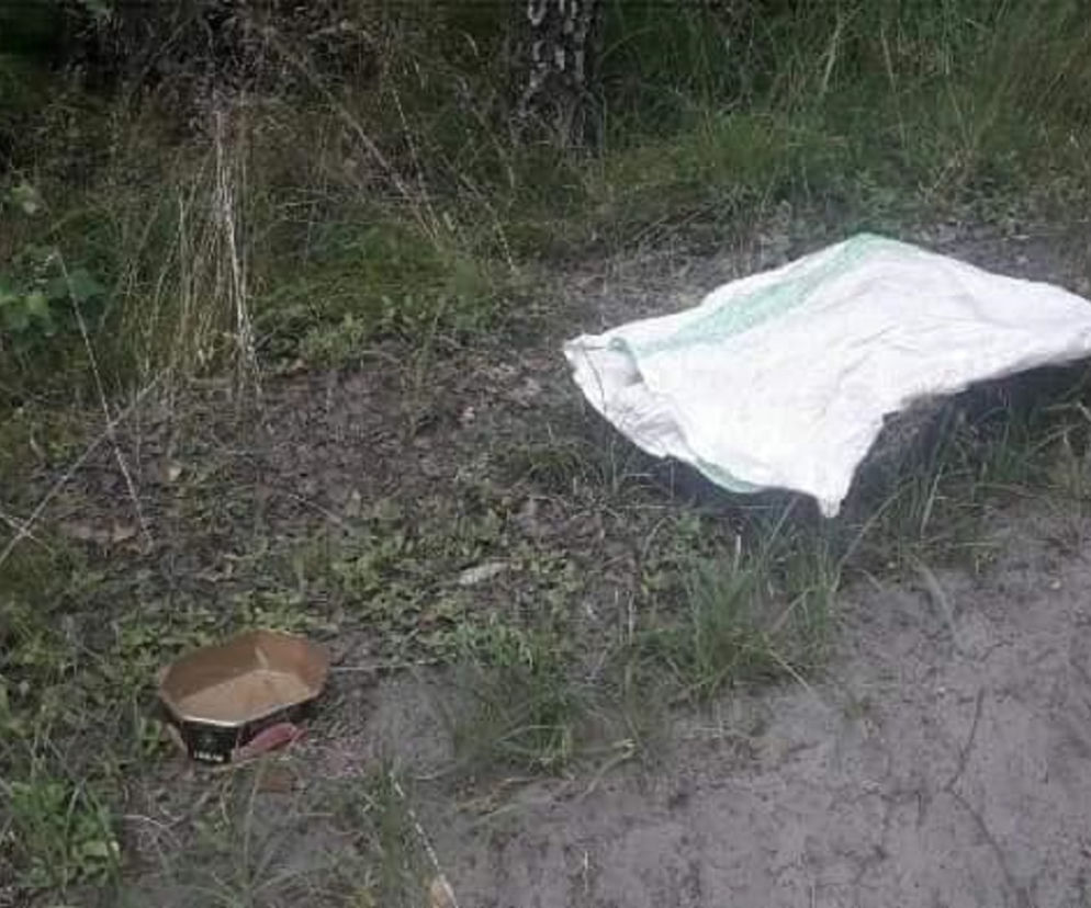 Pies porzucony w lesie w worku niedaleko Grodziska