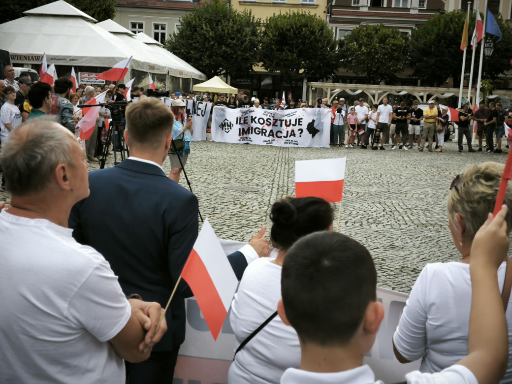 Manifestacja pod hasłem "Sto nielegalnej imigracji" w Lesznie