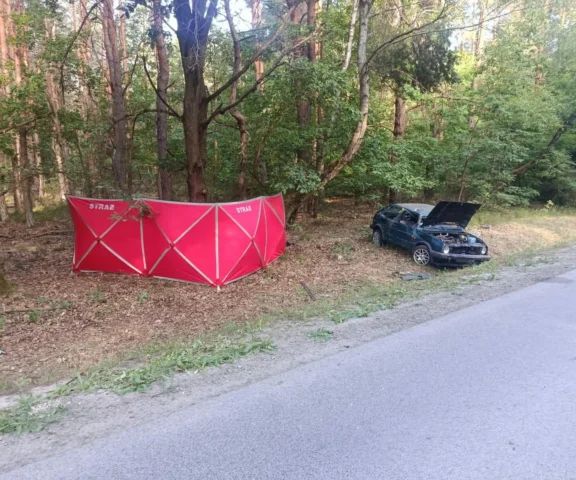 Dachowanie pod Staszowem. Kierowca i pasażerowie byli pijani