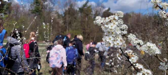 52. Rajd Spotkanie z wiosną