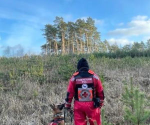 Julian walczy o życie! Bohaterski owczarek belgijski potrzebuje pilnej operacji