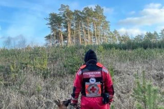 Julian walczy o życie! Bohaterski owczarek belgijski potrzebuje pilnej operacji