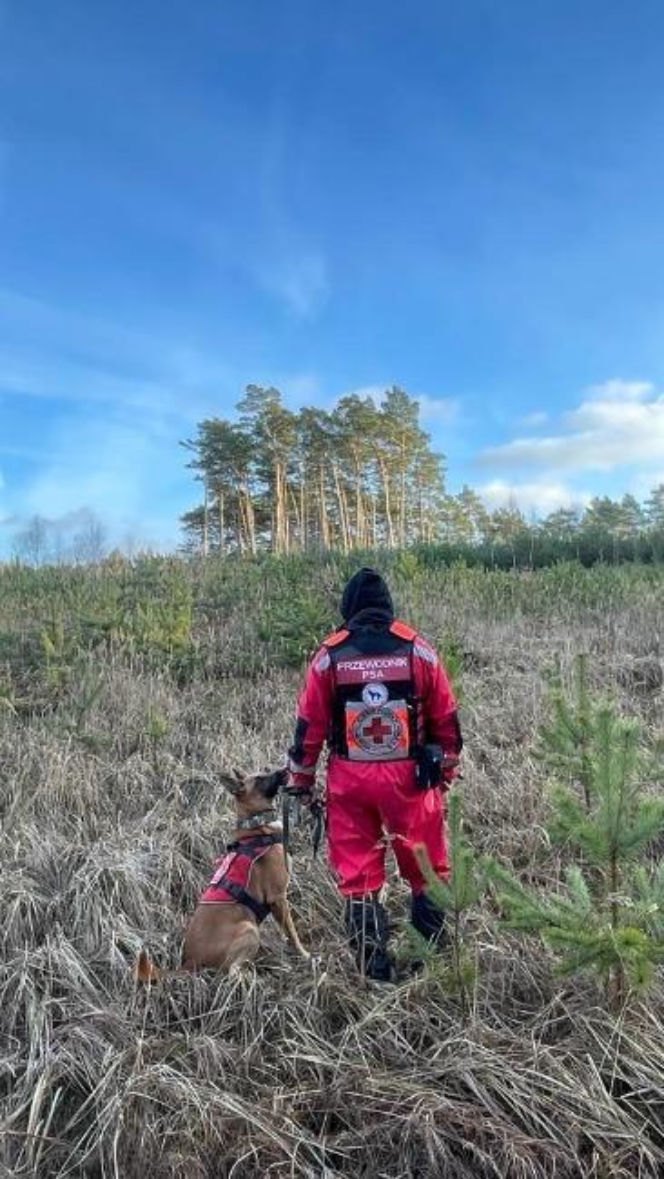 Julian walczy o życie! Bohaterski owczarek belgijski potrzebuje pilnej operacji