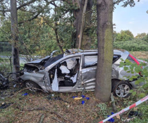 Kia rozbiła się na drzewie. Kierowca nie żyje