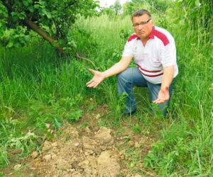 Zrobiłem pogrzeb psu, teraz stanę przed sądem