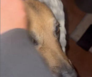 Ten sylwester był HORROREM. Gwiazda TVP ukrywała się pod ziemią