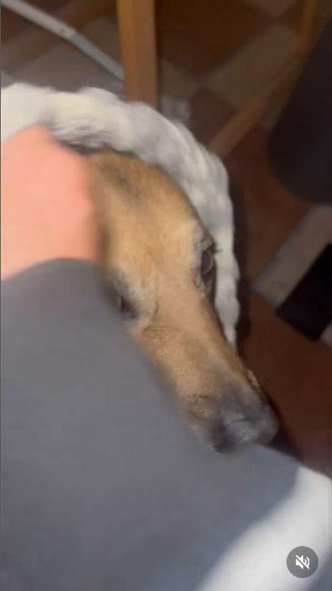 Ten sylwester był HORROREM. Gwiazda TVP ukrywała się pod ziemią