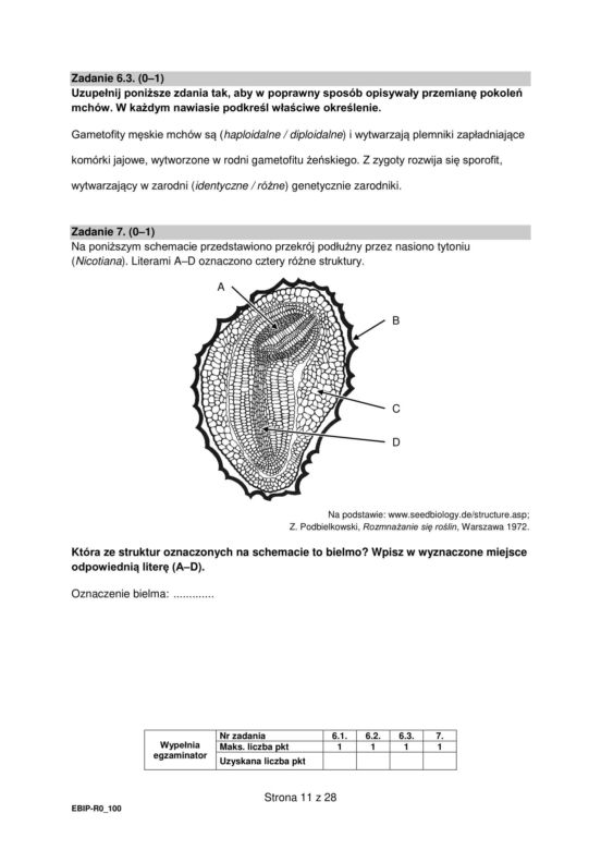 Matura 2024: biologia rozszerzona ARKUSZ FORMUŁA 2015