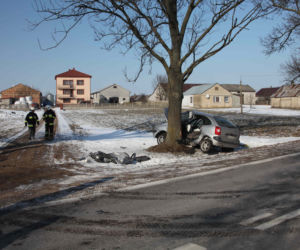 WYPADEK SKOŃCZYŁ SIĘ NA DRZEWIE