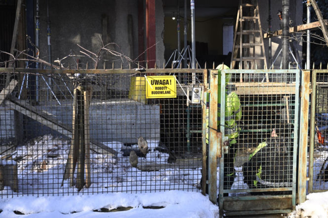 Kaczyńskiego nie ma w domu, a sąsiedzi rozwalają ściany