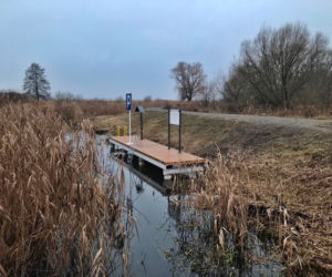 Zakątki wodne Cztery Szkielety