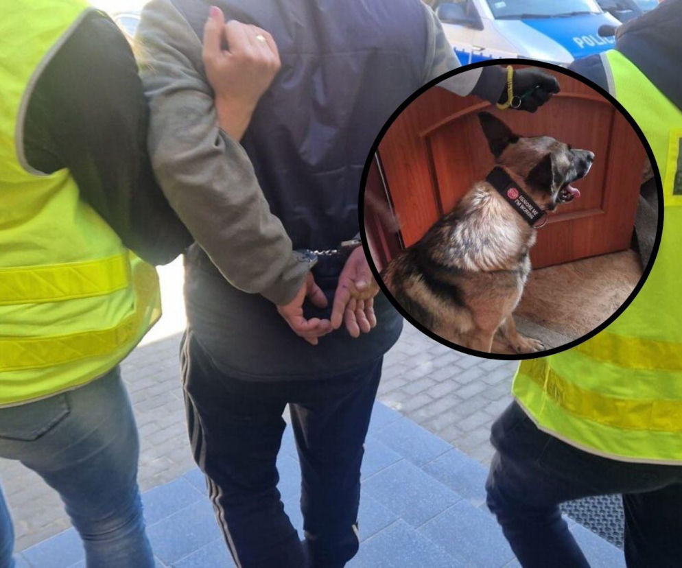 Przy sobie miał tylko kilka torebek. W domu 40-latka Szron wywęszył dużo więcej towaru