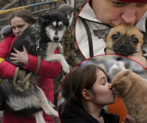 Ukraina. Uratowane zwierzęta