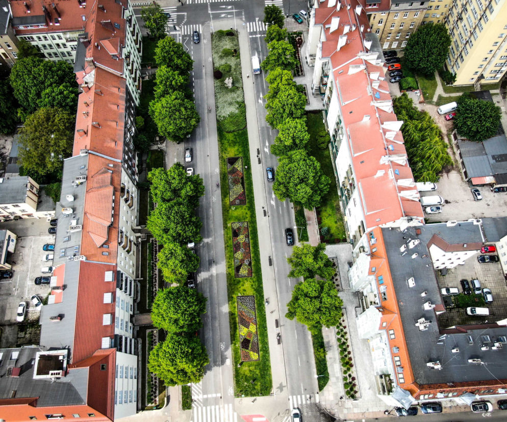 Szczecin w kwiatach