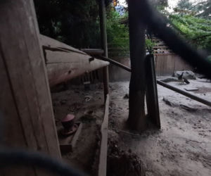 Dramat zwierząt w mini ZOO w Kałkowie