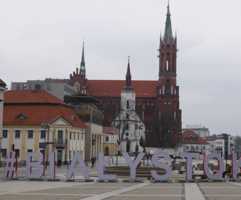 W Białymstoku staną figurki misiów. Trwa konkurs rzeźbiarski