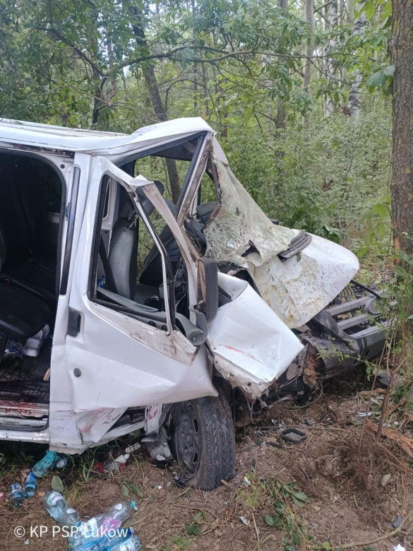Bus rozbił się na drzewie. Wielu poszkodowanych, śmigłowiec LPR w akcji