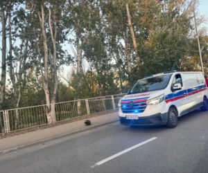 Tragedia na Wybrzeżu Szczecińskim. Młody motocyklista nie żyje