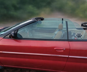 Szok! Trzymali ją pół roku w więzieniu, bo aplikacja się pomyliła