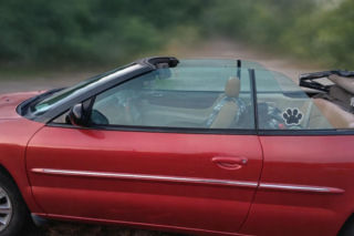 Szok! Trzymali ją pół roku w więzieniu, bo aplikacja się pomyliła