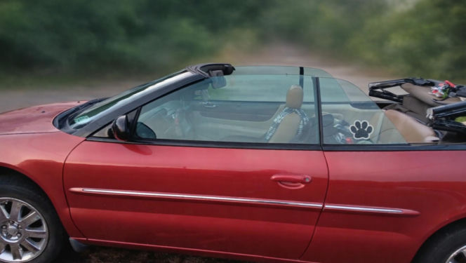 Szok! Trzymali ją pół roku w więzieniu, bo aplikacja się pomyliła