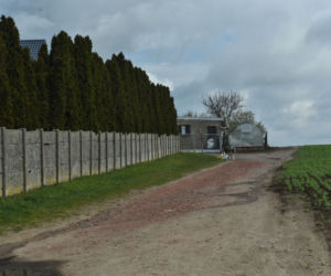 Morderstwo w Dąbrówce