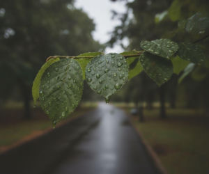 Weekend w Lublinie zacznie się idealnie, ale prognoza ma haczyk. Jeden dzień będzie kluczowy