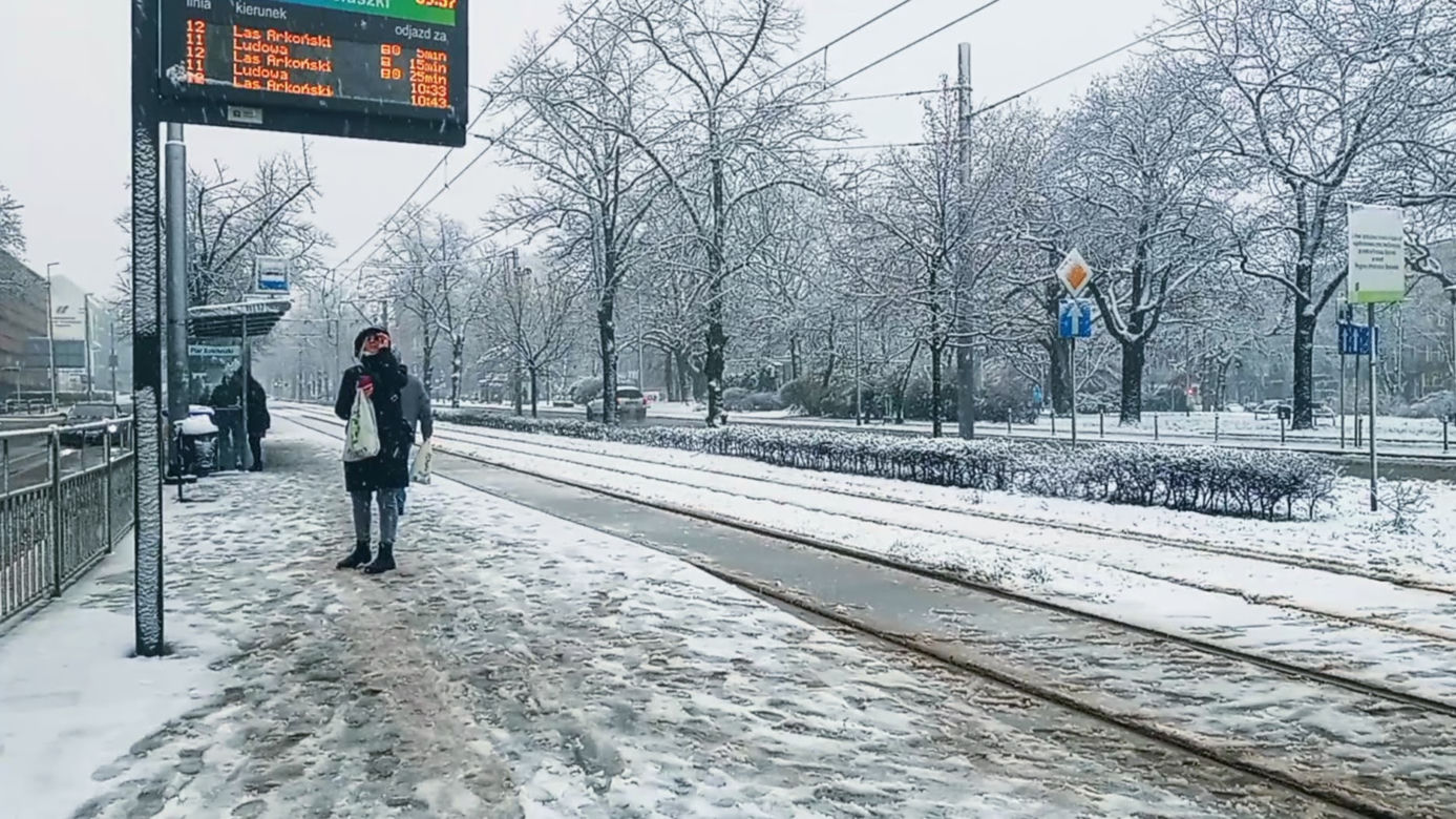 Pierwszy śnieg w Szczecinie