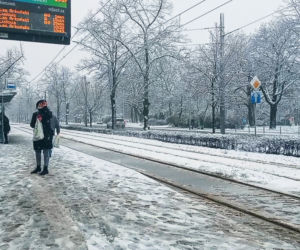Pierwszy śnieg w Szczecinie