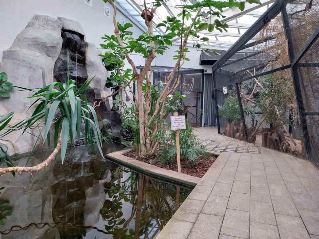 Wiosenny spacer w zamojskim zoo
