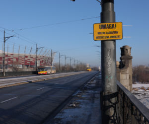  Wścieklizna atakuje w Warszawie