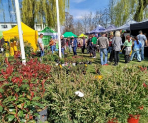 Impreza Wiosna na polu i w ogrodzie odbyła się w Siedlcach już po raz 18.