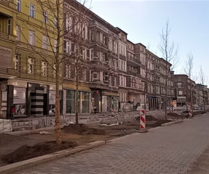 Siedmiometrowe platany już zdobią aleję Wojska Polskiego