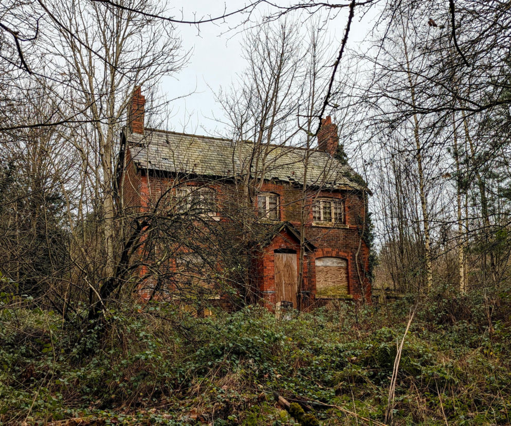 stary dom z cegły w lesie