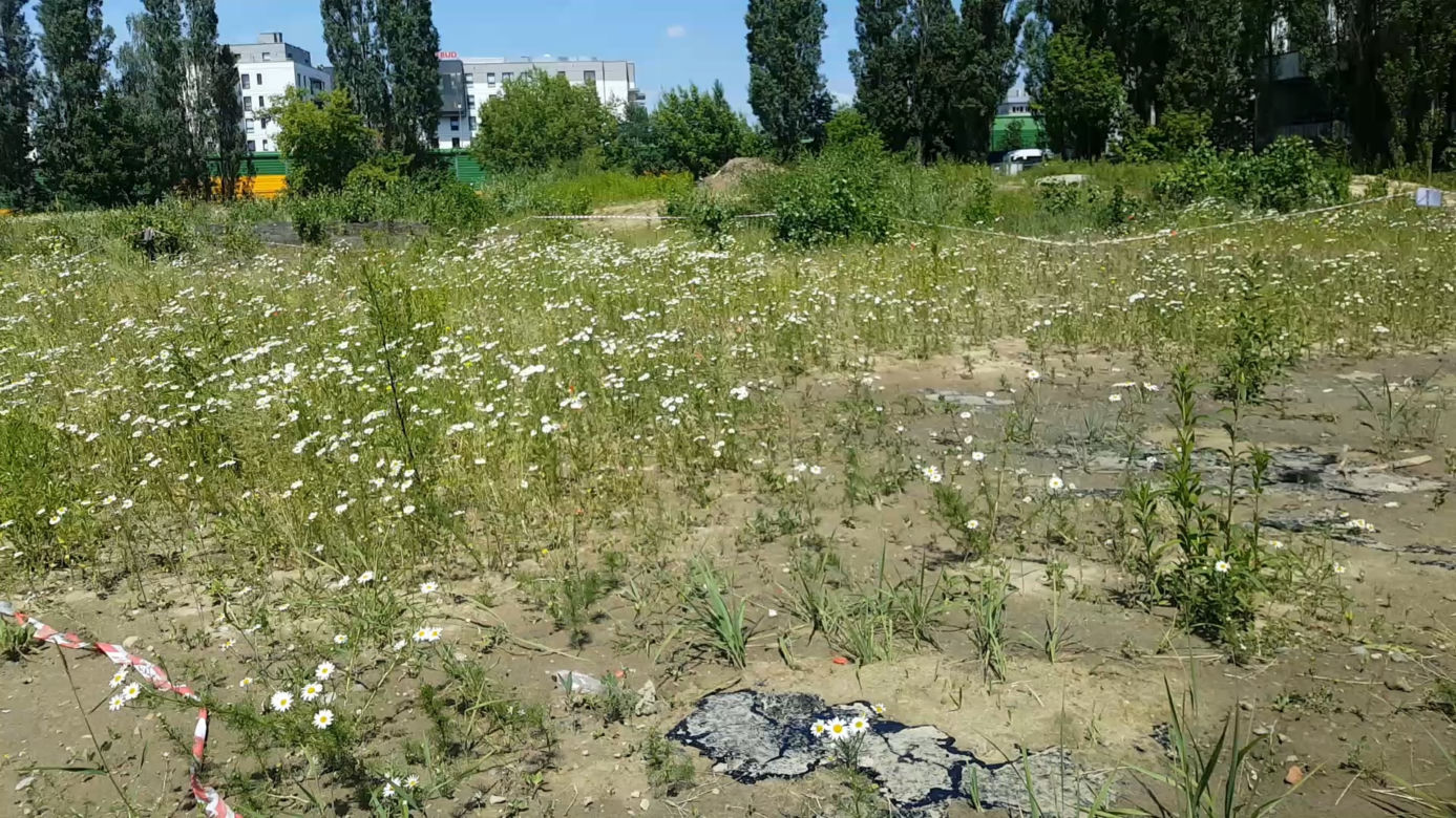 Asfalt wypływa spod ziemi