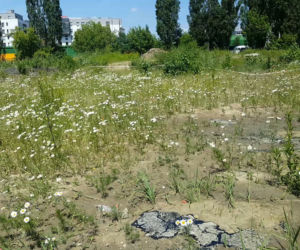 Asfalt wypływa spod ziemi