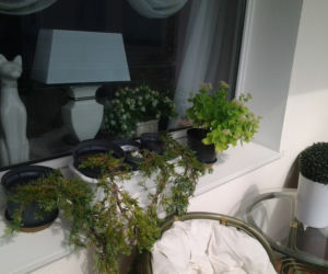 Balkon najpiękniej zaaranżowany