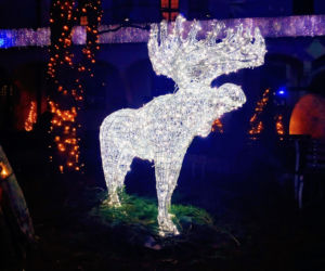 Iluminacje świąteczne w Szczecinie