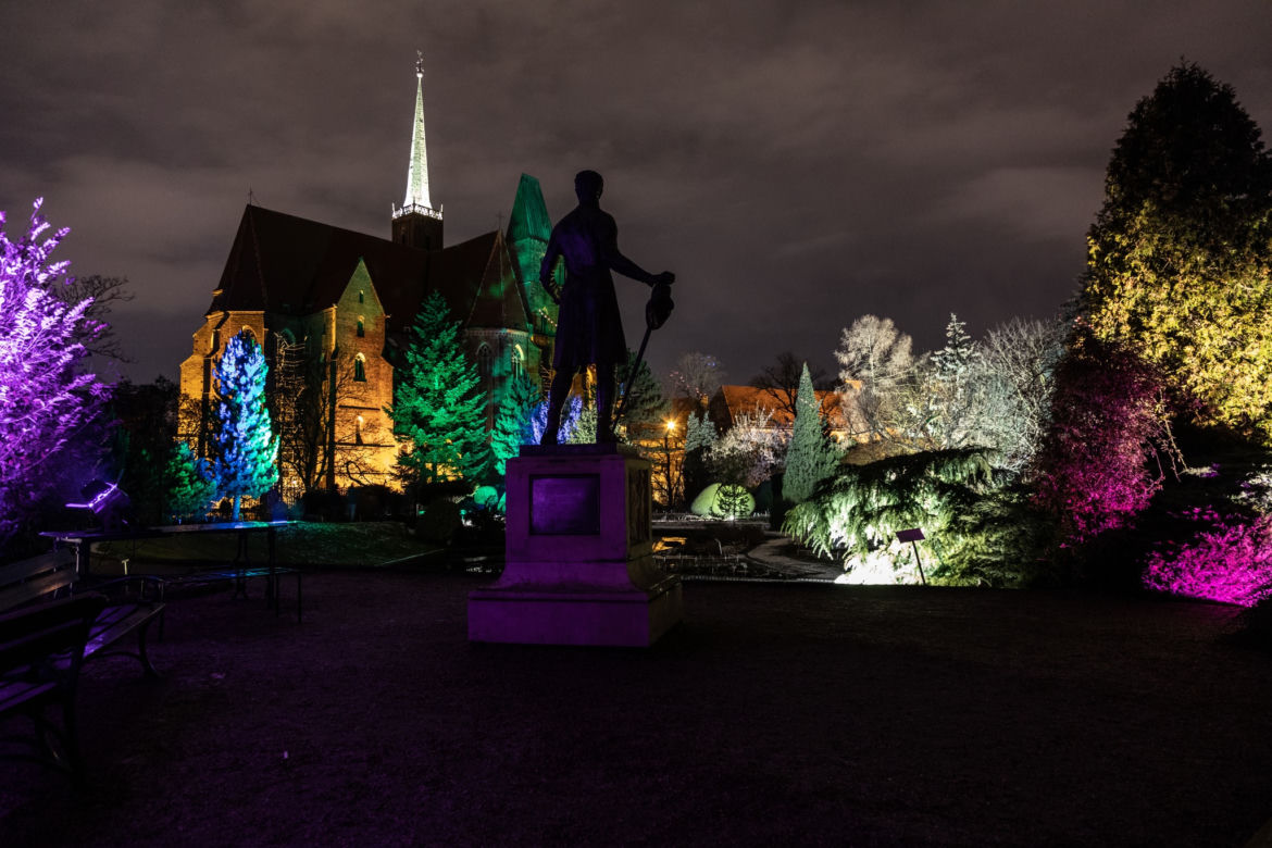 Światłogród w Ogrodzie Botanicznym we Wrocławiu. Robi wrażenie! [ZDJĘCIA]