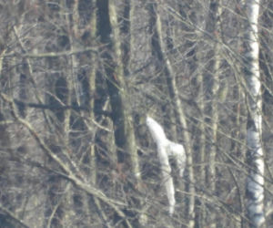 Niezidentyfikowany obiekt spadł pod Mińskiem Mazowieckim. Ruszyła akcja służb