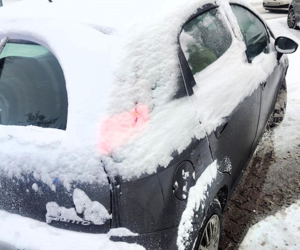 Myśleli, że auto jest puste. Gdy zajrzeli do środka, nie mogli uwierzyć