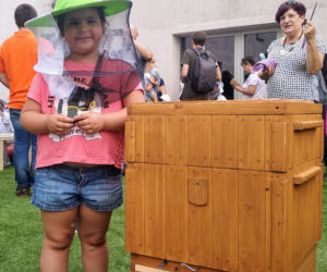 Pszczoły z Chorzowa. Około 100 tys. sztuk w samym centrum miasta