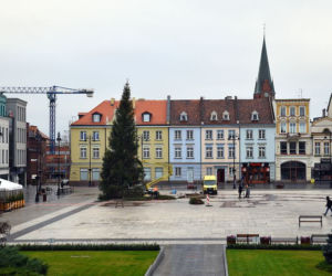 Magia świąt opanowała Bydgoszcz! Na Starym Rynku pojawiła się choinka! [ZDJĘCIA]